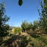 Продажа Участок Шамаха 13