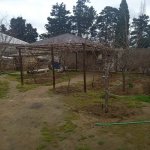 Продажа 9 комнатная Дома/Виллы, м. Короглу метро, пос. Маштага, Сабунчу район 9