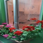 Посуточно 2 комнат Дача Губа 14