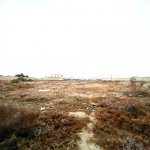 Satılır Torpaq Sumqayıt 18