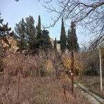 Продажа 5 комнатная Дома/Виллы, Новханы, Абшерон район 7