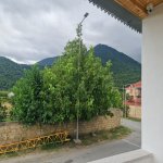 Kirayə (günlük) 3 otaqlı Həyət evi/villa Qəbələ 16