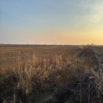 Satılır Torpaq Kürdəmir 2