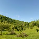 Satılır Torpaq Quba 2