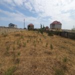 Satılır Torpaq, Novxanı, Abşeron rayonu 7