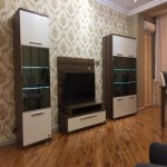 Kirayə (aylıq) 2 otaqlı Yeni Tikili, 28 May metrosu, Nəsimi rayonu 10