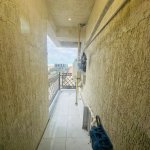 Satılır 3 otaqlı Yeni Tikili, Qara Qarayev metrosu, Nizami rayonu 11