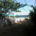 Satılır 4 otaqlı Bağ evi, Novxanı, Abşeron rayonu 8
