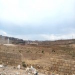 Satılır Torpaq, Saray, Abşeron rayonu 4