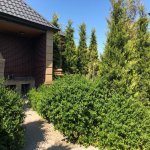 Продажа 8 комнат Дома/Виллы, м. Короглу метро, пос. Билгях, Сабунчу район 9
