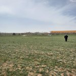 Продажа Участок, Гобу, Абшерон район 5