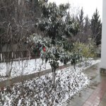 Satılır 5 otaqlı Həyət evi/villa, Elmlər akademiyası metrosu, Yasamal rayonu 19