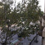 Kirayə (aylıq) 2 otaqlı Köhnə Tikili, Sahil metrosu, Səbail rayonu 1