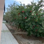Satılır 3 otaqlı Həyət evi/villa, Koroğlu metrosu, Bakıxanov qəs., Sabunçu rayonu 14