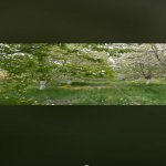 Satılır Torpaq Xaçmaz 1