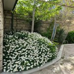 Kirayə (aylıq) 2 otaqlı Bağ evi, Nardaran qəs., Sabunçu rayonu 1
