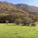 Satılır Torpaq Oğuz 1