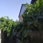 Kirayə (günlük) 2 otaqlı Həyət evi/villa Gəncə 14