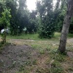 Kirayə (günlük) 3 otaqlı Həyət evi/villa Qəbələ 25