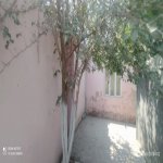Продажа Объект, пос. Маштага, Сабунчу район 16