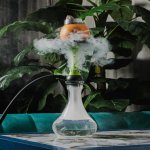 Kirayə (aylıq) Obyekt, 28 May metrosu, 28 may qəs., Binəqədi rayonu 10