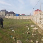 Satılır Torpaq Sabirabad 4