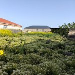 Satılır Torpaq, Novxanı, Abşeron rayonu 3