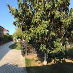 Kirayə (aylıq) 8 otaqlı Bağ evi, Bilgəh qəs., Sabunçu rayonu 20