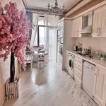 Kirayə (aylıq) 4 otaqlı Yeni Tikili, Nəriman Nərimanov metrosu, Nərimanov rayonu 9