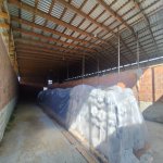 Kirayə (aylıq) Torpaq Xaçmaz 12