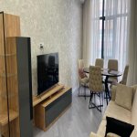 Kirayə (aylıq) 2 otaqlı Yeni Tikili, Nəriman Nərimanov metrosu, Heydər Əliyev Mərkəzi, Nərimanov rayonu 1