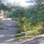 Kirayə (günlük) 3 otaqlı Həyət evi/villa Qəbələ 6