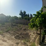 Satılır Torpaq, Buzovna, Xəzər rayonu 9