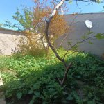 Satılır 3 otaqlı Həyət evi/villa, Binəqədi qəs., Binəqədi rayonu 4