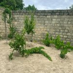 Satılır 3 otaqlı Bağ evi, Novxanı, Abşeron rayonu 2