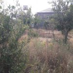 Satılır Torpaq, Masazır, Abşeron rayonu 5