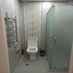 Kirayə (aylıq) 3 otaqlı Yeni Tikili, Gənclik metrosu, Nəsimi rayonu 13