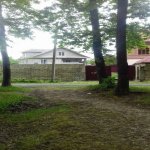 Kirayə (günlük) 3 otaqlı Həyət evi/villa Lənkəran 2