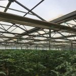 Продажа Объект, Туркян, Хязяр район 31