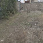 Продажа Участок, Шаган, Хязяр район 5