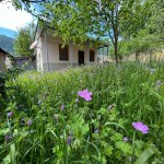 Посуточно 3 комнатная Дома/Виллы Гябяля 6