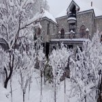 Kirayə (günlük) 7 otaqlı Həyət evi/villa Şəki 2