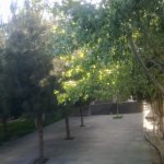 Kirayə (aylıq) 5 otaqlı Bağ evi, Koroğlu metrosu, Bilgəh qəs., Sabunçu rayonu 3