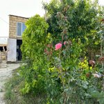 Satılır 3 otaqlı Həyət evi/villa Xırdalan 1