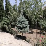 Satılır 9 otaqlı Həyət evi/villa, Masazır, Abşeron rayonu 5