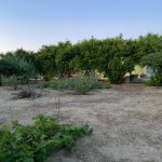 Satılır 3 otaqlı Bağ evi, Bilgəh qəs., Sabunçu rayonu 1