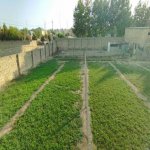 Satılır Torpaq, Goradil, Abşeron rayonu 5