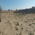 Satılır Torpaq, Novxanı, Abşeron rayonu 1
