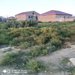 Satılır Torpaq, Məhəmmədli, Abşeron rayonu 2
