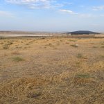 Продажа Участок, Сарай, Абшерон район 18